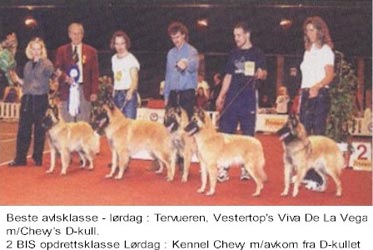 D-Litter, best of breed, NKK Stavanger, 1 year