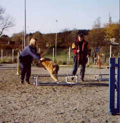 Linda and Djinga is training agility