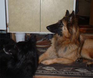 Kiara and Flisa
