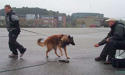 Kristina, Farak and Tore