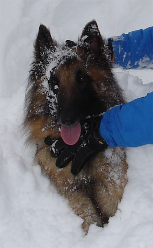 Luca is getting a snowbath....