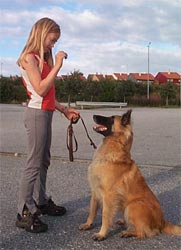 Marita and vega is training