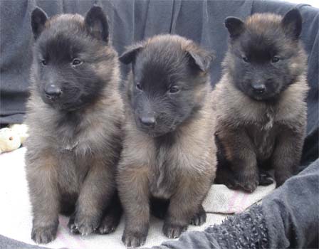 beige, orange and pink female