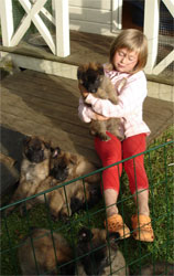 Rikke with the puppies