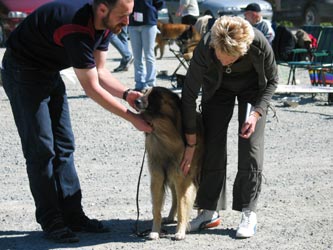 Kjartan and Zippo with the judge